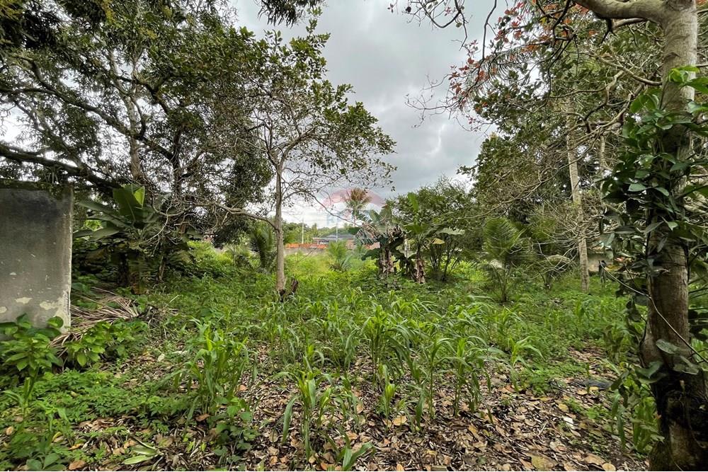 Terreno - Venda - Alagoinhas , Bahia - IMG_8946.jpeg - 580701044-52