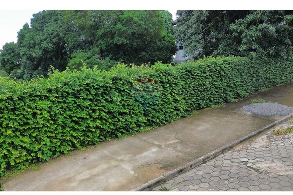 Terreno - Venda - Itamaraju , Bahia - Imagem do WhatsApp de 2025-06-24 à(s) 09.37.12_6dfab007.jpg - 580751013-63