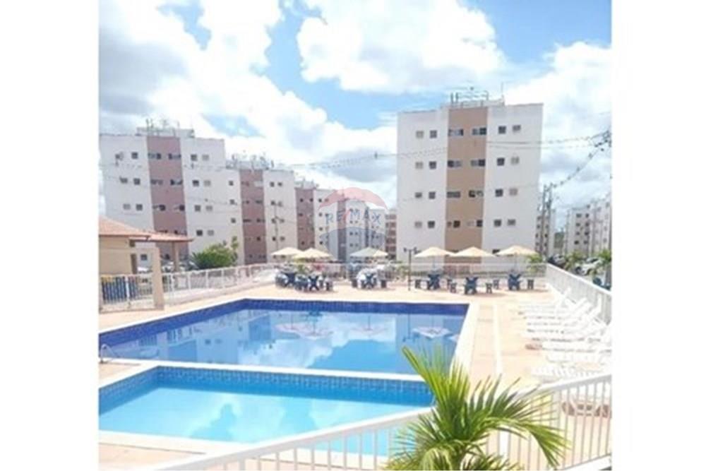 Apartamento - Alugar - Alagoinhas , Bahia - L_9011ba3f-43dc-421e-826b-eb46d4549417.jpg - 580701034-95