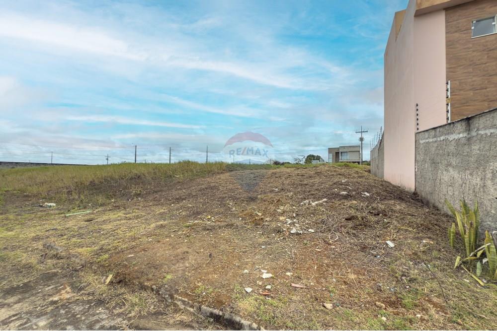 Terreno - Venda - Santo Antônio de Jesus , Bahia - IMG_8196.jpg - 580341036-84