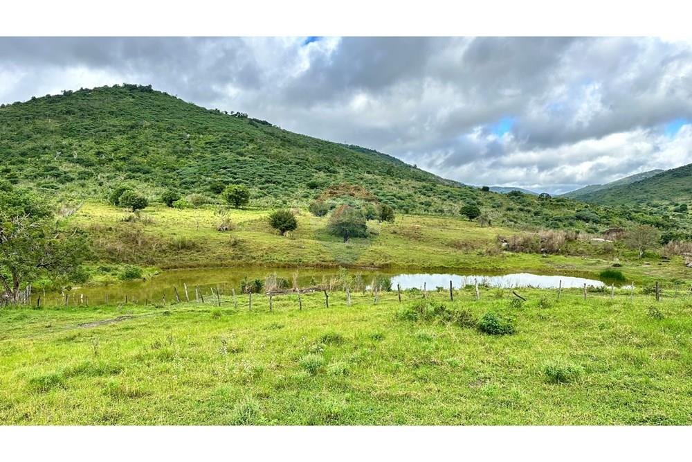 Chácara / Sítio / Fazenda - Venda - Jequié , Bahia - image00002.jpeg - 580731023-47