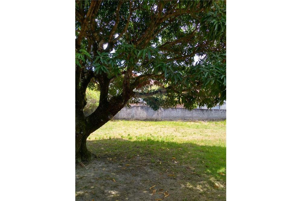 Casa - Amoreira