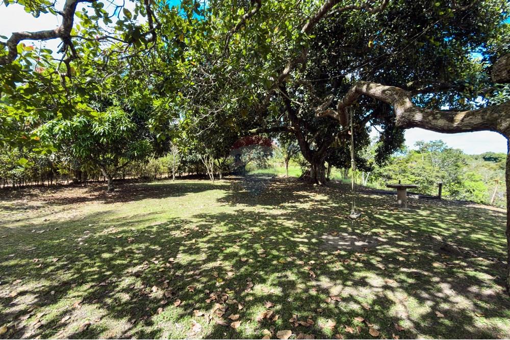 Chácara / Sítio / Fazenda - Venda - Santo Antônio de Jesus , Bahia - IMG_2390.jpg - 580341015-104