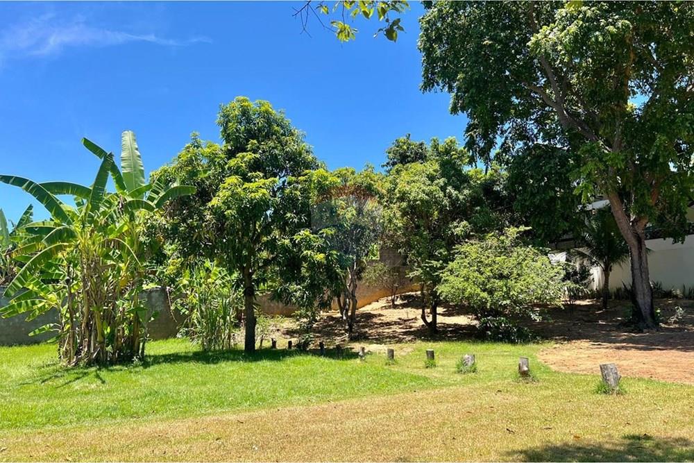 Chácara / Sítio / Fazenda - Venda - Barreiras , Bahia - WhatsApp Image 2026-02-23 at 09.09.59 (2).jpeg - 580651075-89