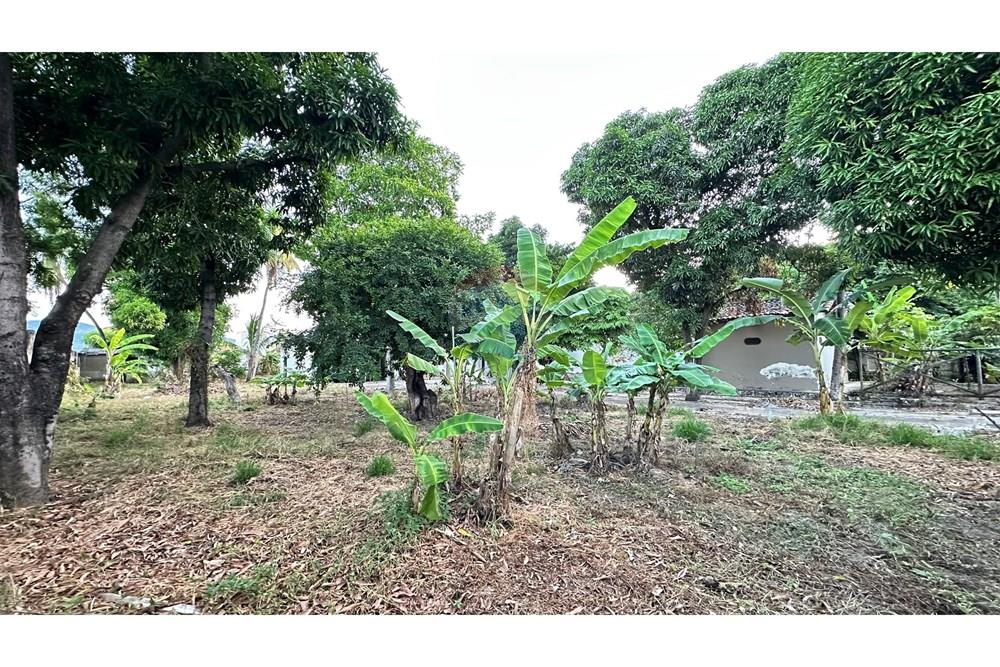 Chácara / Sítio / Fazenda - Venda - Jequié , Bahia - IMG_6550.JPEG - 580731028-6