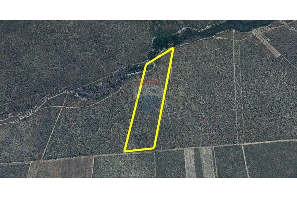 Fazenda - Venda - São Desidério , Bahia - WhatsApp Image 2026-01-26 at 21.42.54.jpeg - 580861009-34