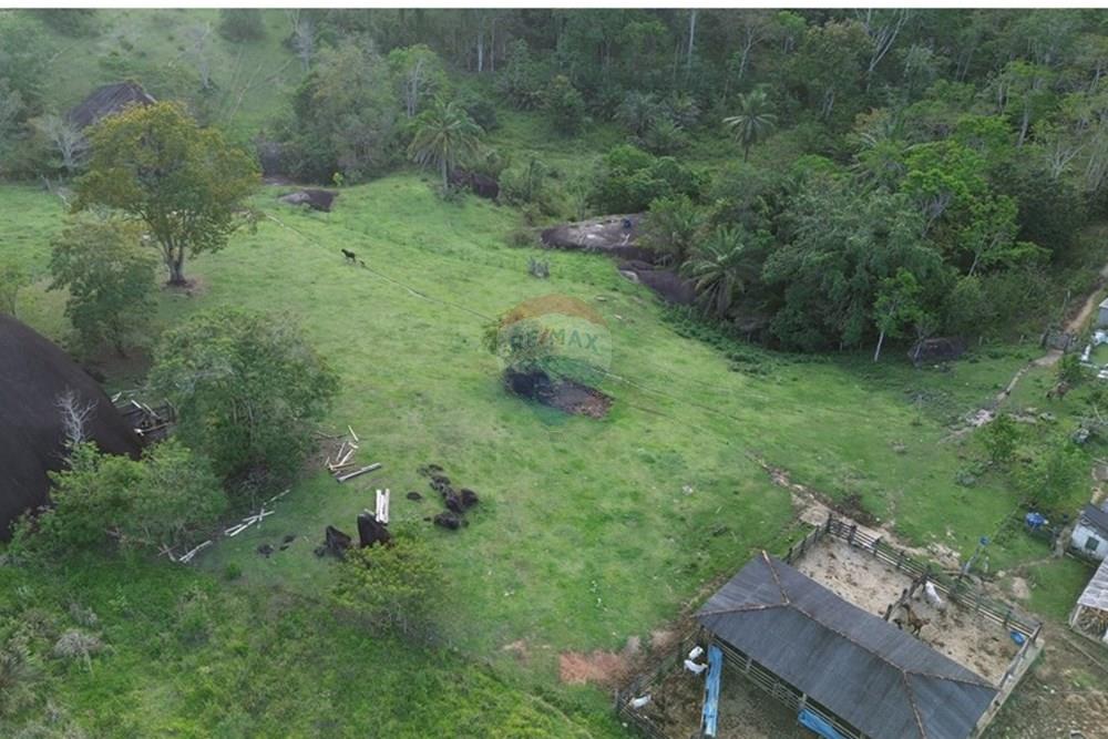 Fazenda - Venda - Itamaraju , Bahia - DJI_0021.JPG - 580751013-75