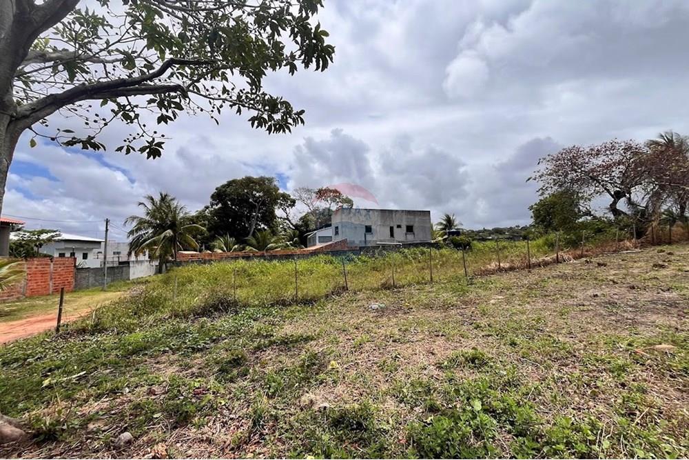 Residential - Lupa - Camaçari , Bahia - BR - IMG_2980.jpg - 580491009-99