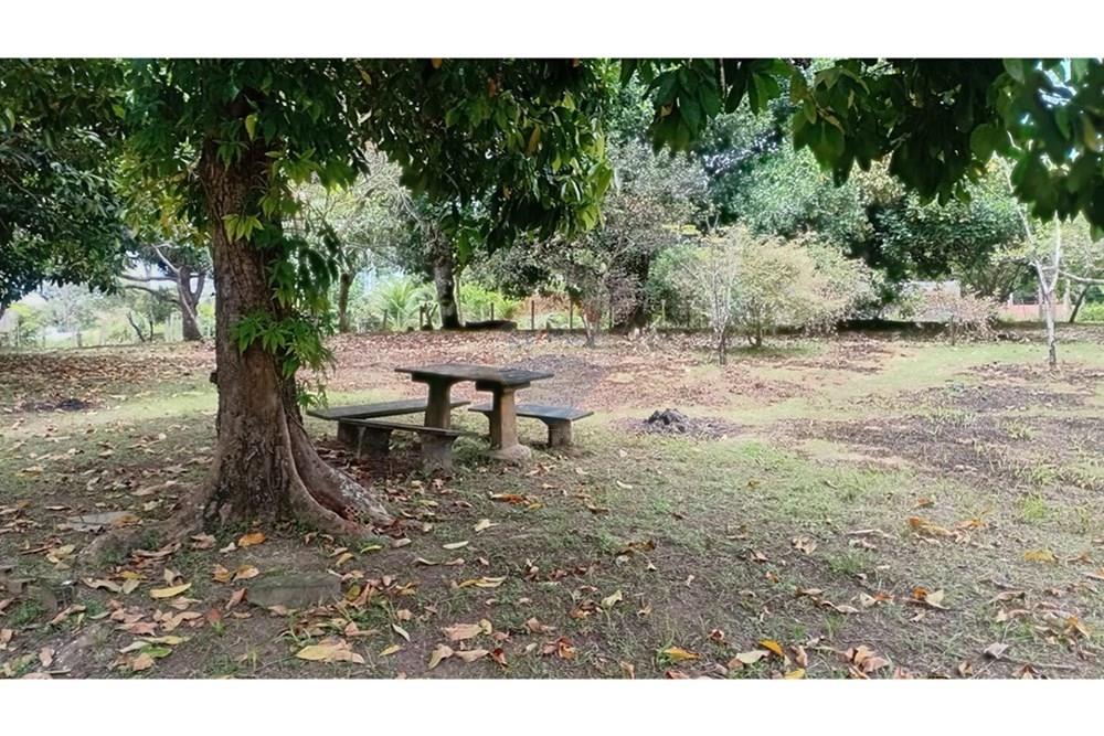 Chácara / Sítio / Fazenda - Alugar - Camaçari , Bahia - WhatsApp Image 2025-10-15 at 14.32.46 (2).jpeg - 580331013-753