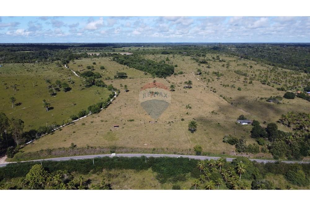 Chácara / Sítio / Fazenda - Venda - Porto Seguro , Bahia - DJI_0584.JPG - 580531040-12