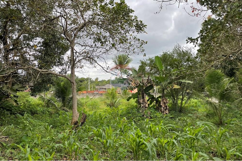 Terreno - Venda - Alagoinhas , Bahia - IMG_8945.jpeg - 580701044-52