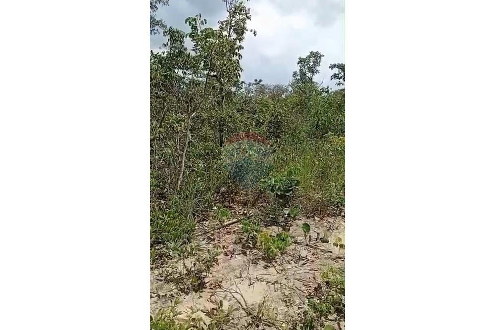 Fazenda - Venda - São Desidério , Bahia - WhatsApp Image 2026-01-26 at 21.38.48.jpeg - 580861009-34