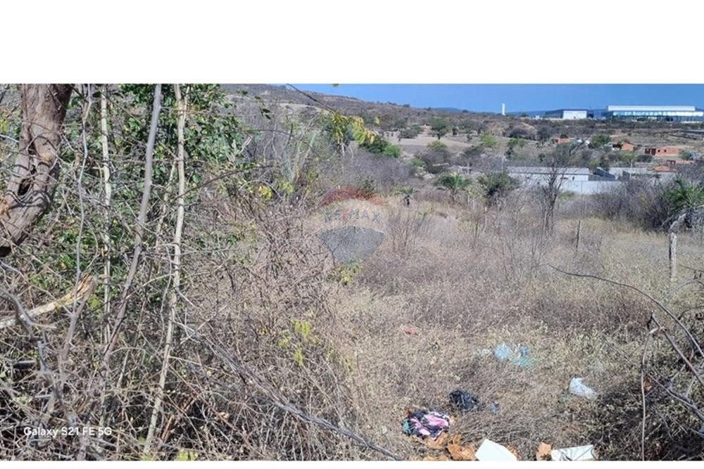 Terreno - Venda - Jacobina , Bahia - WhatsApp Image 2025-12-29 at 11.54.31.jpeg - 580851018-64