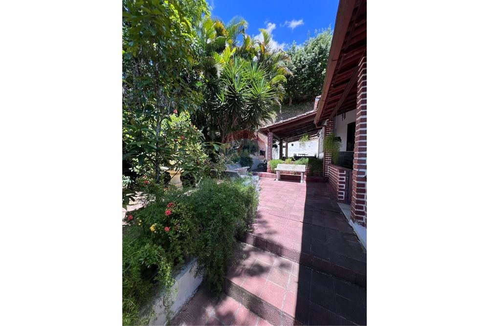 Chácara / Sítio / Fazenda - Venda - São Félix , Bahia - IMG_2003.jpeg - 580691023-29