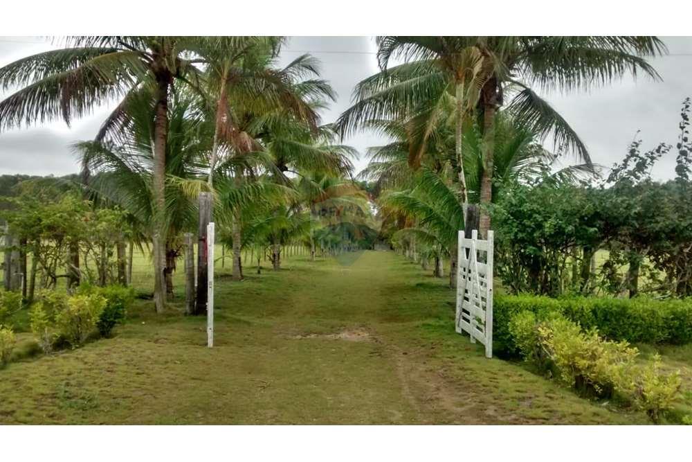 Chácara / Sítio / Fazenda - Venda - Teixeira de Freitas , Bahia - WhatsApp Image 2024-05-13 at 16.09.19 (1).jpeg - 580411003-292