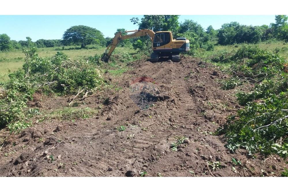 Chácara / Sítio / Fazenda - Venda - Caravelas , Bahia - WhatsApp Image 2025-07-11 at 09.20.11.jpeg - 580411006-269