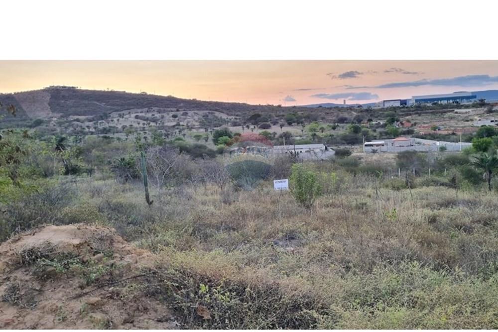 Terreno - Venda - Jacobina , Bahia - WhatsApp Image 2025-09-07 at 19.21.23 (1).jpeg - 580851018-63