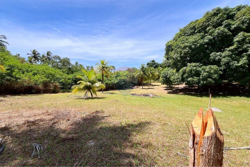 Terreno - Venda - Camaçari , Bahia - IMG_4755 (1).jpg - 580491001-74