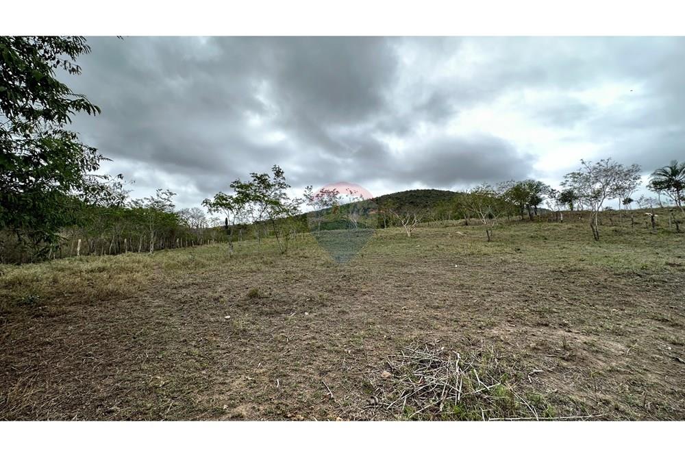 Chácara / Sítio / Fazenda - Venda - Jequié , Bahia - image00037.jpeg - 580731023-51