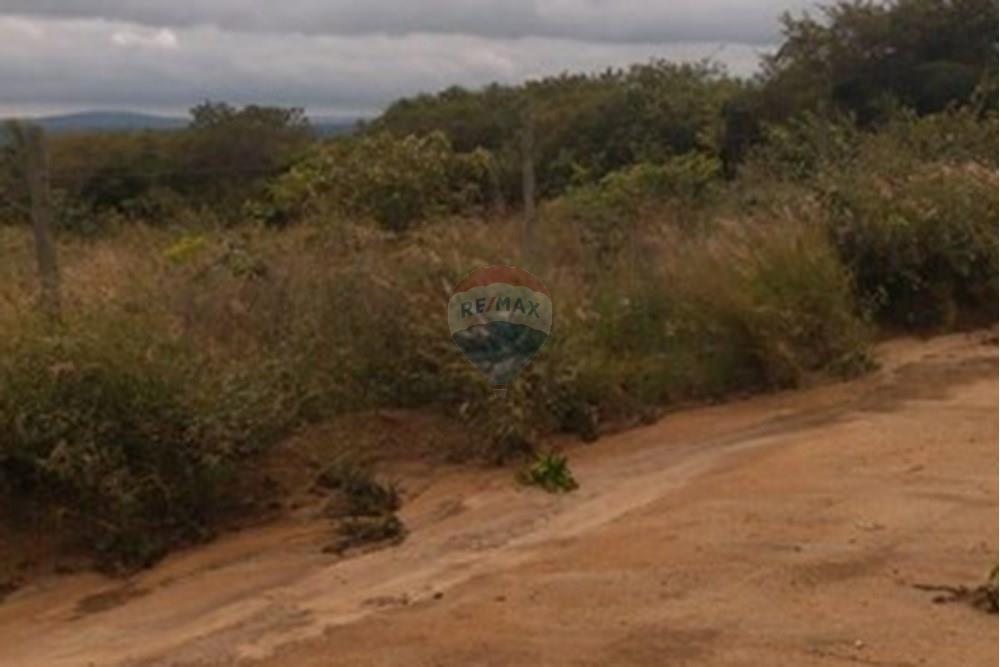 Terreno - Venda - Vitória da Conquista , Bahia - WhatsApp Image 2025-05-28 at 16.42.19.jpeg - 580831002-82