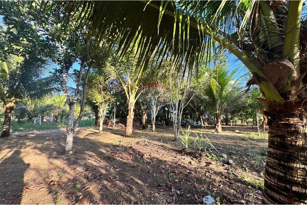 Chácara à venda com 2 quartos, 91m² - Foto 13