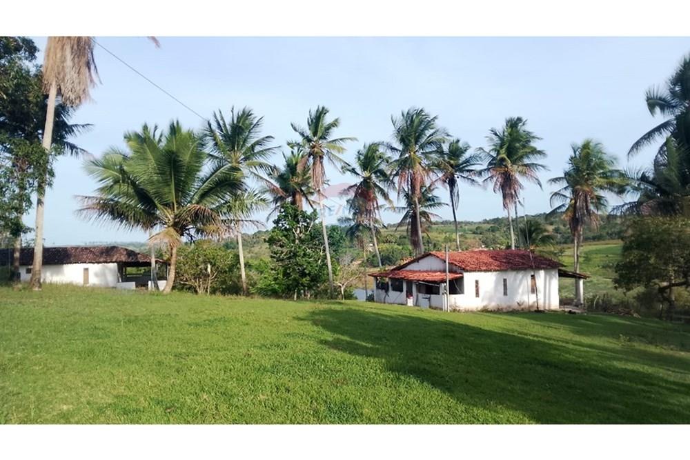 Chácara / Sítio / Fazenda - Venda - Alagoinhas , Bahia - WhatsApp Image 2025-11-09 at 19.24.53 (3).jpeg - 580701044-55