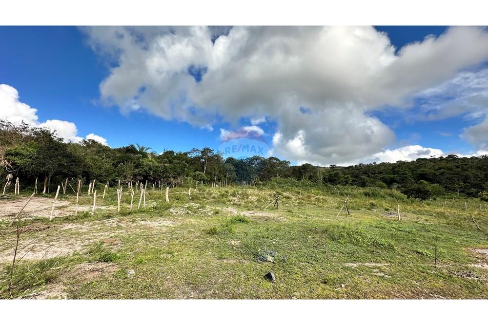 Chácara / Sítio / Fazenda - Venda - Jequié , Bahia - image00053.jpeg - 580731023-59