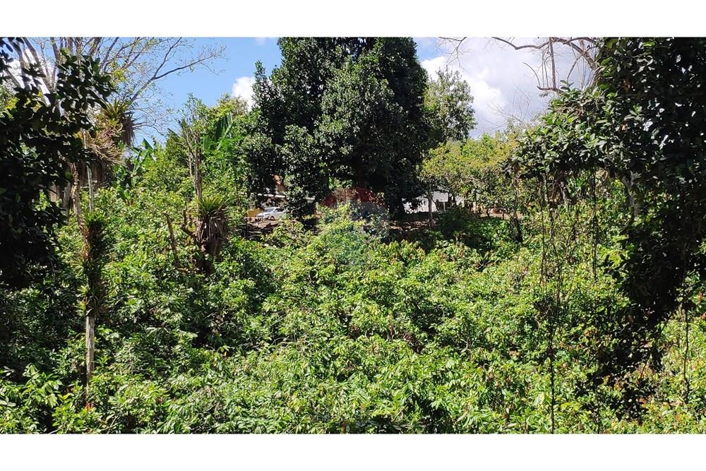 Chácara / Sítio / Fazenda - Venda - Jequié , Bahia - IMG_20220910_104759.jpg - 580731023-74