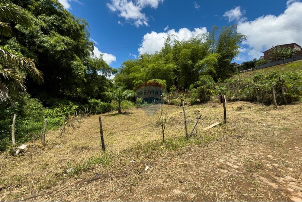 Terreno - Venda - Santo Antônio de Jesus , Bahia - IMG_0447.jpg - 580341046-28