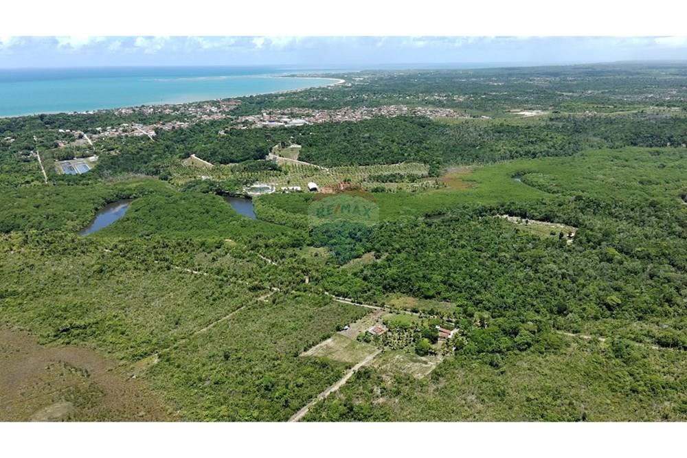 Agro - Venda - Santa Cruz Cabrália , Bahia - IMG-20250309-WA0014.jpg - 580581034-56