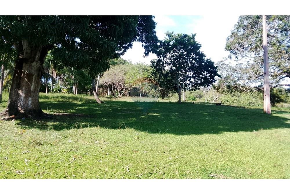 Chácara / Sítio / Fazenda - Venda - Alagoinhas , Bahia - WhatsApp Image 2025-11-09 at 19.23.32 (2).jpeg - 580701044-55