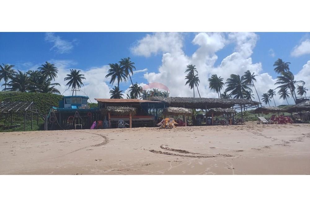 Residential - Земля/участок - Entre Rios , Баия - BR - 20240622_113838.jpg - 580541067-11