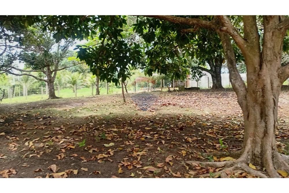 Chácara / Sítio / Fazenda - Alugar - Camaçari , Bahia - WhatsApp Image 2025-10-15 at 14.32.01.jpeg - 580331013-753