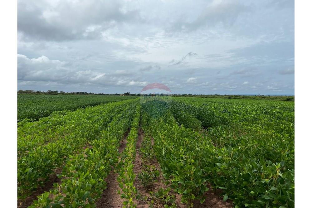 Fazenda - Venda - Aroazes , Piauí - Imagem do WhatsApp de 2025-09-30 à(s) 12.22.20_a8ad0209.jpg - 580791016-19