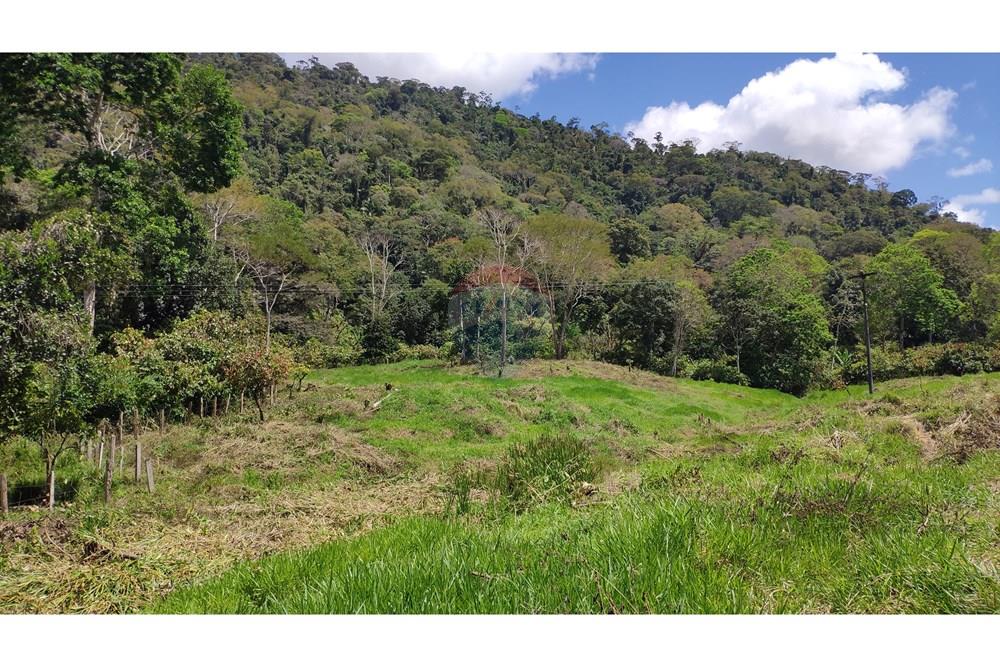 Chácara / Sítio / Fazenda - Venda - Jequié , Bahia - 10.jpg - 580731023-74