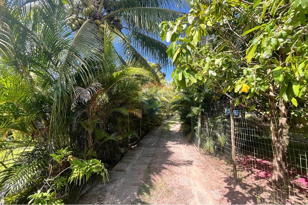 Chácara / Sítio / Fazenda - Venda - Camaçari , Bahia - WhatsApp Image 2025-11-18 at 17.19.20.jpeg - 580491009-102