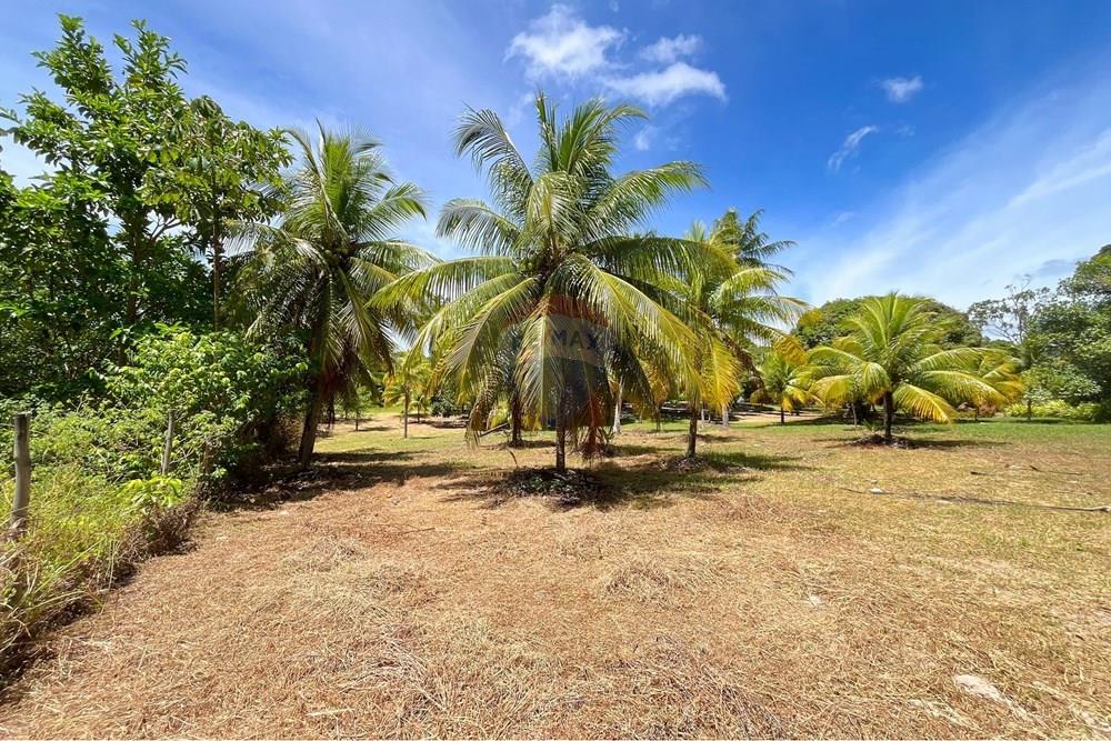 Terreno - Venda - Camaçari , Bahia - IMG_4767.jpg - 580491001-74