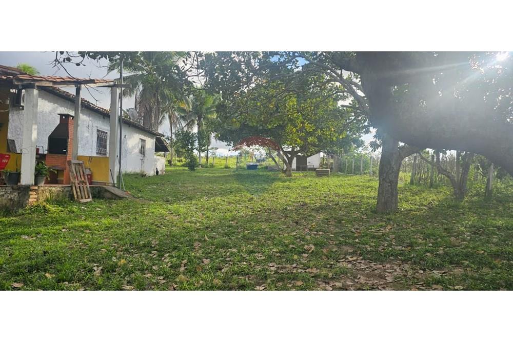 Chácara / Sítio / Fazenda - Alugar - Alagoinhas , Bahia - WhatsApp Image 2025-11-12 at 08.47.13 (1).jpeg - 580701044-78