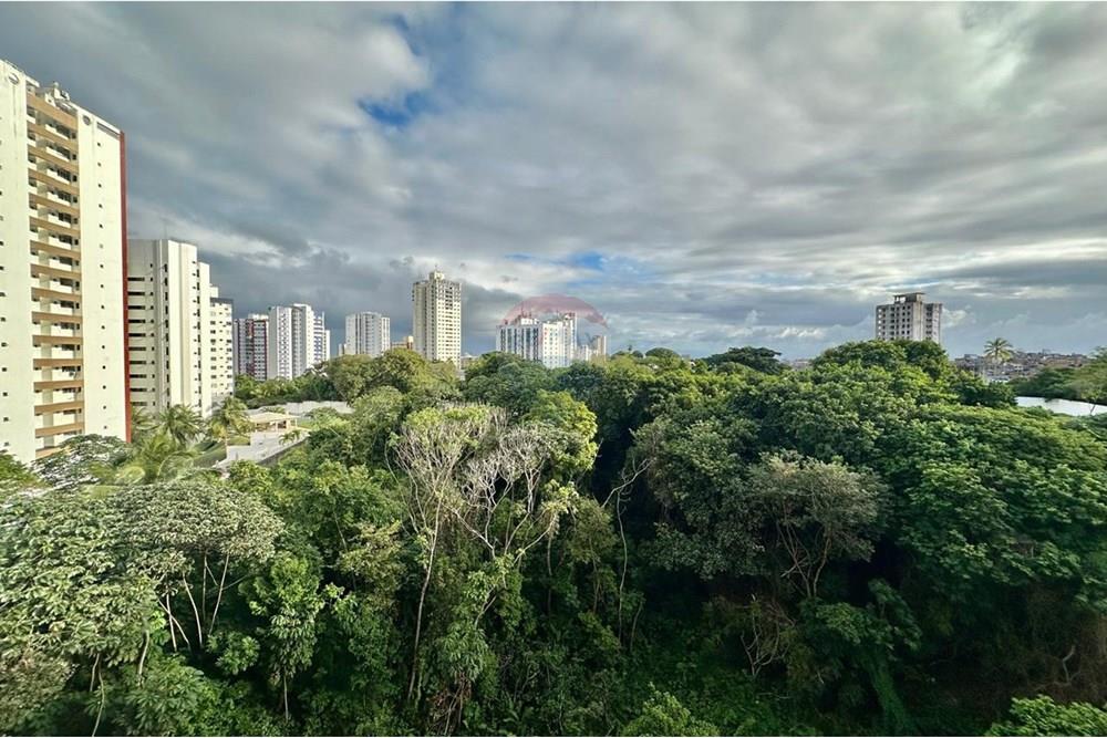 Apartamento - Venda - Salvador , Bahia - WhatsApp Image 2025-07-28 at 18.41.45(3).jpeg - 580551067-96