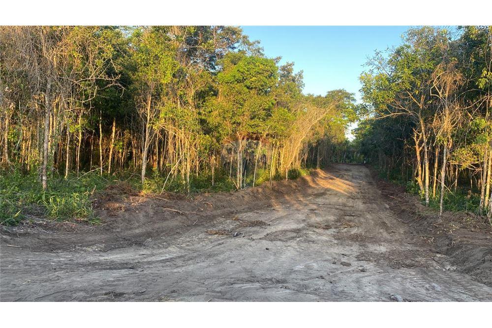 Terreno - Venda - Porto Seguro , Bahia - 8 - 580581034-23