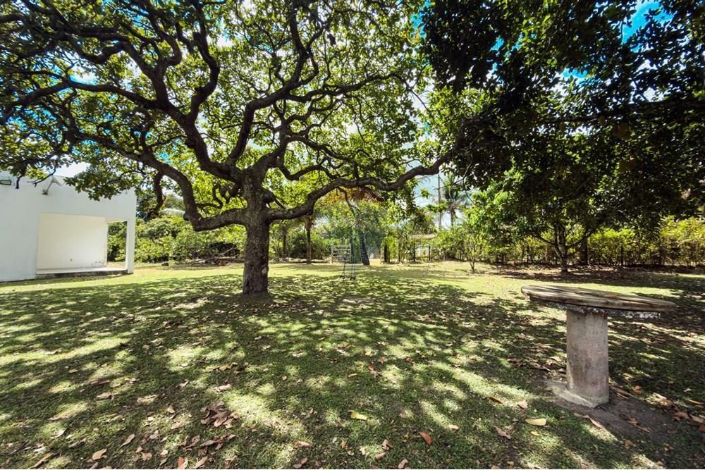 Chácara / Sítio / Fazenda - Venda - Santo Antônio de Jesus , Bahia - IMG_2408.jpg - 580341015-104