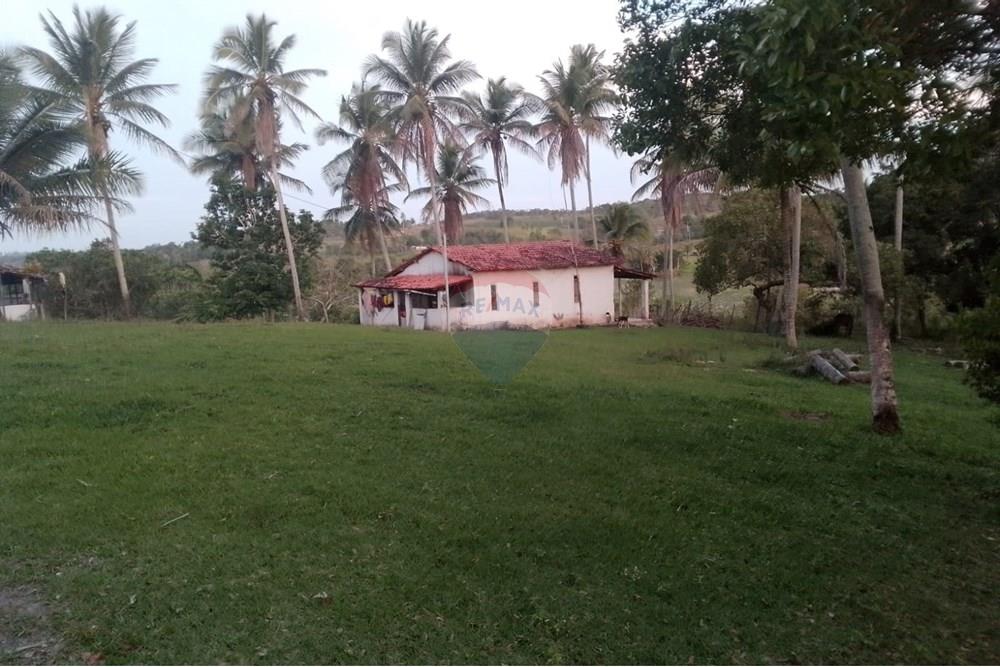 Chácara / Sítio / Fazenda - Venda - Alagoinhas , Bahia - WhatsApp Image 2025-11-09 at 19.24.41 (1).jpeg - 580701044-55