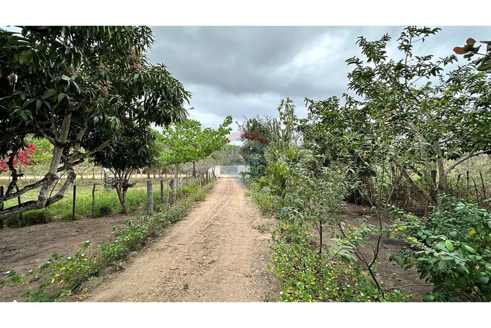 Chácara / Sítio / Fazenda - Venda - Jequié , Bahia - image00012.jpeg - 580731023-51