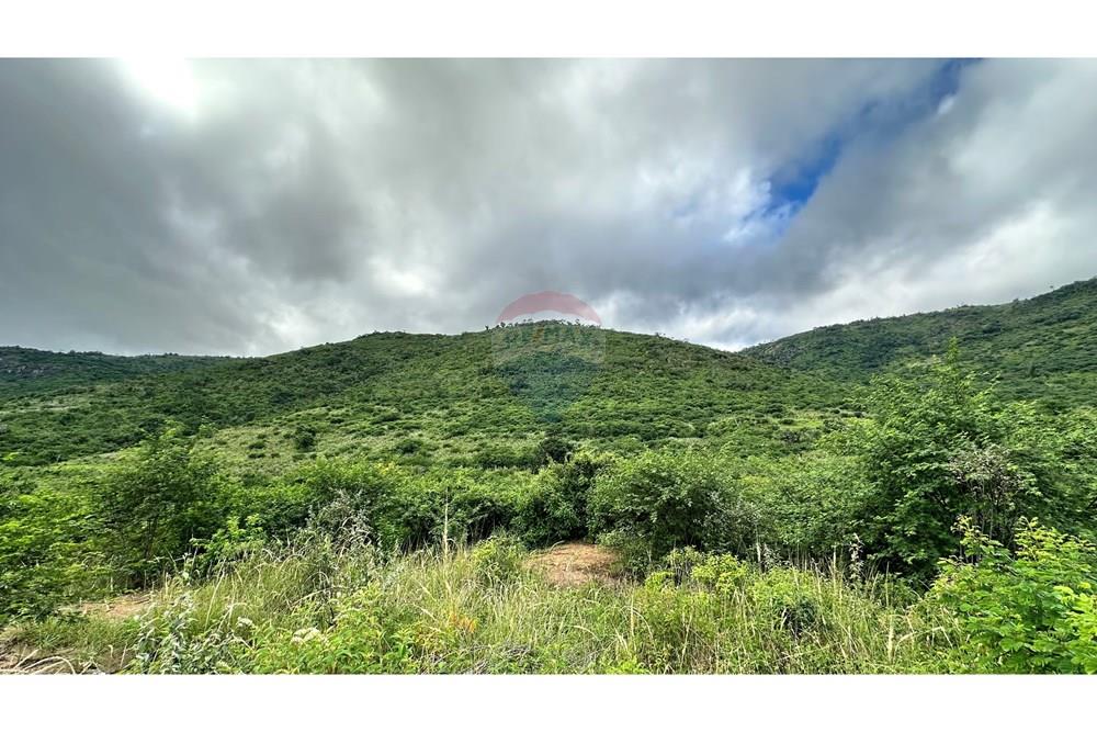 Chácara / Sítio / Fazenda - Venda - Jequié , Bahia - image00032.jpeg - 580731023-47