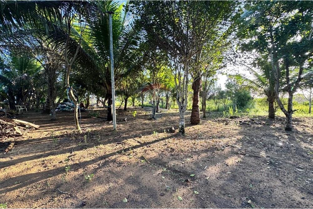Chácara à venda com 2 quartos, 91m² - Foto 15