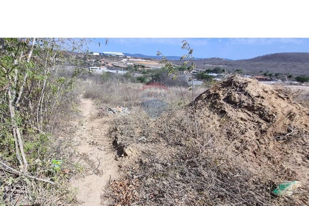 Terreno - Venda - Jacobina , Bahia - WhatsApp Image 2025-12-29 at 11.54.31 (2).jpeg - 580851018-63