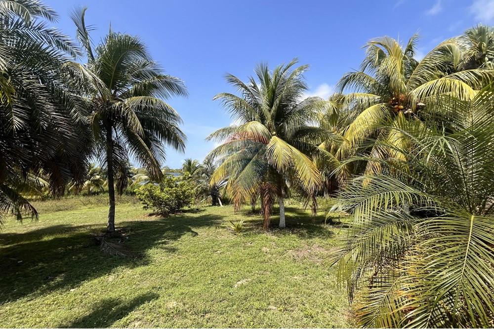 Casa - Venda - Entre Rios , Bahia - IMG_2996.jpg - 580491009-103