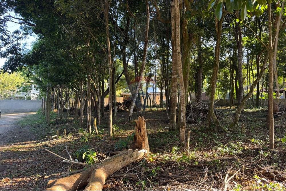 Terreno - Venda - Porto Seguro , Bahia - c0f8c7a8-20b0-4330-a74d-239301691ea4.jpg - 580581002-126