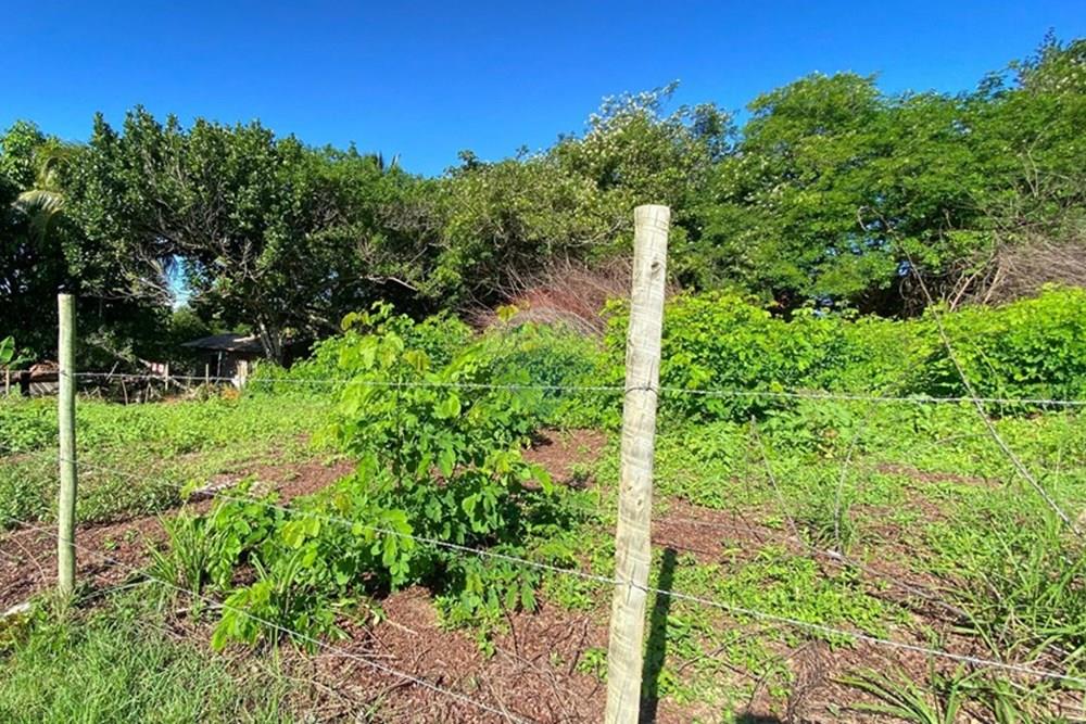 Terreno - Venda - Mata de São João , Bahia - fb20b15f-30a3-4568-abaf-55ce76d2c25a.jpg - 580601014-63