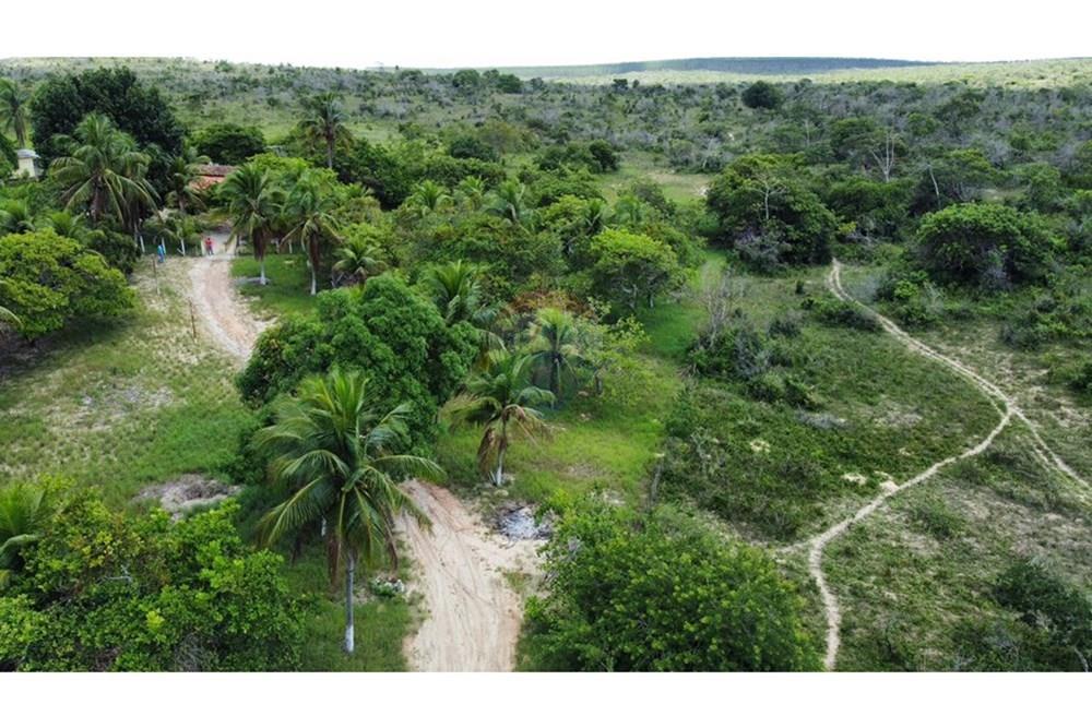 Chácara / Sítio / Fazenda - Alugar - Alagoinhas , Bahia - WhatsApp Image 2026-03-18 at 11.50.04 (3).jpeg - 580701044-78